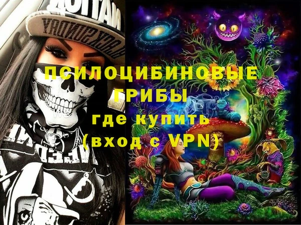прущая мука Арсеньев