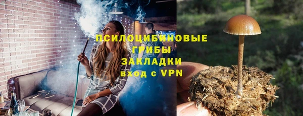 прущая мука Арсеньев