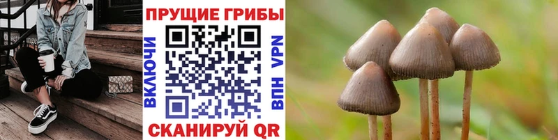 Псилоцибиновые грибы мицелий  Глазов 